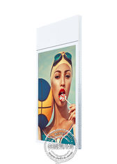 Soffitto LCD dei pidocchi di alta luminosità 700 dell'esposizione del supporto della parete del Super Slim che appende doppio schermo di pubblicità parteggiato