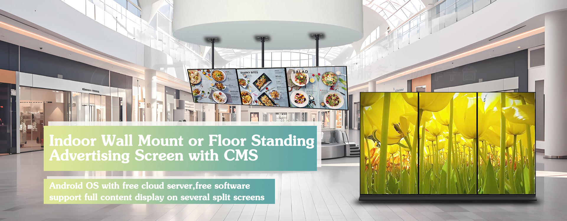 Qualità Contrassegno di WIFI Digital Fabbrica