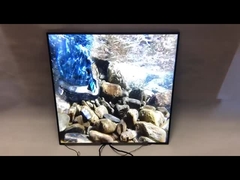 Esposizione LCD di pubblicità del quadrato del pannello 420Nits 1920*1920 BOE del quadrato a 33 pollici originale di marca